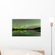 Aurora Borealis over Fish Wall Decal Design 2