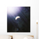 Lonely Planet and Its Wall Decal