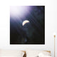 Lonely Planet and Its Wall Decal