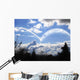 Artist's Concept Escape Pod Wall Decal