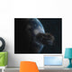 Asteroid Front Earth Wall Decal Design 5