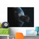 Asteroid Front Earth Wall Decal Design 5