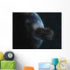 Asteroid Front Earth Wall Decal Design 5