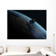 Asteroid Front Earth Wall Decal Design 4