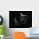 Asteroid Space Wall Decal