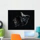 Asteroid Space Wall Decal