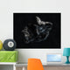 Asteroid Space Wall Decal