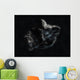 Asteroid Space Wall Decal