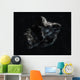 Asteroid Space Wall Decal