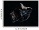 Asteroid Space Wall Decal
