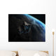 Asteroid Front Earth Wall Decal Design 3
