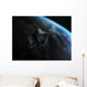 Asteroid Front Earth Wall Decal Design 3