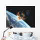 Asteroid Front Earth Wall Decal Design 1