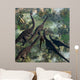 Few Apatosaurus Join Moving Wall Decal