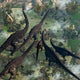 Few Apatosaurus Join Moving Wall Decal