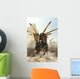 Charging Styracosaurus Wall Decal