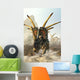 Charging Styracosaurus Wall Decal