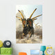 Charging Styracosaurus Wall Decal
