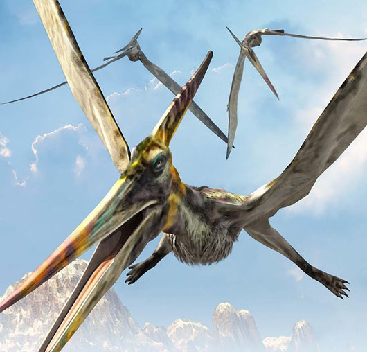 Flying Pterodactyls Searching for Wall Decal