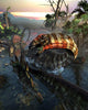 Apatosaurus Dinosaur Swimming Away Wall Decal