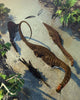 Apatosaurus Dinosaurs Being Chased Wall Decal
