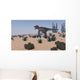 Tyrannosaurus Rex Hunting Desert Wall Decal Design 2