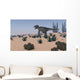 Tyrannosaurus Rex Hunting Desert Wall Decal Design 2