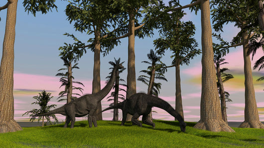 Large Brachiosaurus Dinosaurs Grazing Wall Decal
