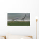 Two Brachiosaurus Dinosaurs Grazing Wall Decal Design 2