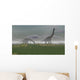 Two Brachiosaurus Dinosaurs Grazing Wall Decal Design 2