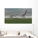 Two Brachiosaurus Dinosaurs Grazing Wall Decal Design 2