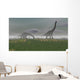 Two Brachiosaurus Dinosaurs Grazing Wall Decal Design 2