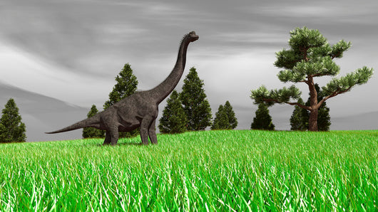 Large Brachiosaurus Open Field Wall Decal Design 4