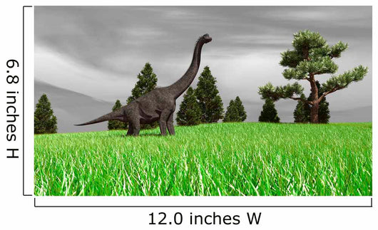 Large Brachiosaurus Open Field Wall Decal Design 4