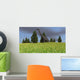 Large Brachiosaurus Open Field Wall Decal Design 3
