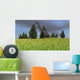 Large Brachiosaurus Open Field Wall Decal Design 3
