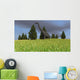 Large Brachiosaurus Open Field Wall Decal Design 3