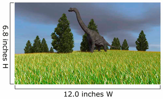 Large Brachiosaurus Open Field Wall Decal Design 3