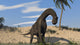 Large Brachiosaurus Standing Water Wall Decal