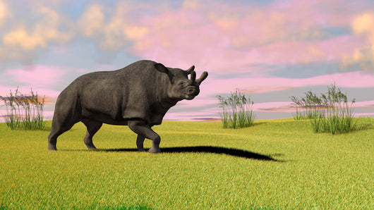 Brontotherium Grazing Prehistoric Grasslands Wall Decal Design 2