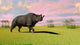 Brontotherium Grazing Prehistoric Grasslands Wall Decal Design 2