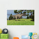 Ceratosaurus Hunting for Its Wall Decal Design 7