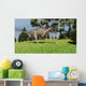 Ceratosaurus Hunting for Its Wall Decal Design 7