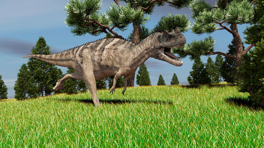 Ceratosaurus Hunting for Its Wall Decal Design 7