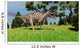 Ceratosaurus Hunting for Its Wall Decal Design 7