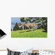 Ceratosaurus Hunting for Its Wall Decal Design 6