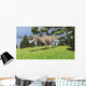 Ceratosaurus Hunting for Its Wall Decal Design 6