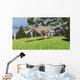 Ceratosaurus Hunting for Its Wall Decal Design 6