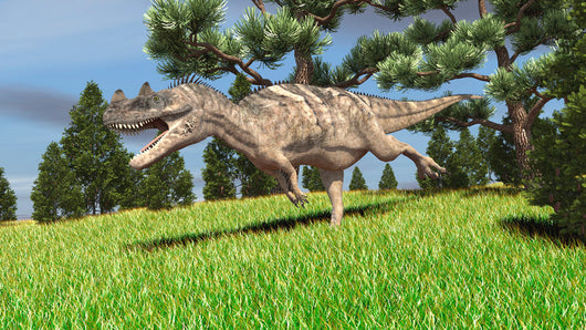 Ceratosaurus Hunting for Its Wall Decal Design 6