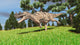 Ceratosaurus Hunting for Its Wall Decal Design 6